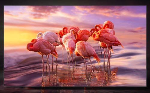 Calitate imagine Samsung 55Q80B Calitate imagine Samsung 55Q80B